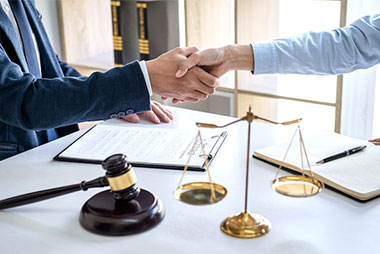 Pro Bono Litigation